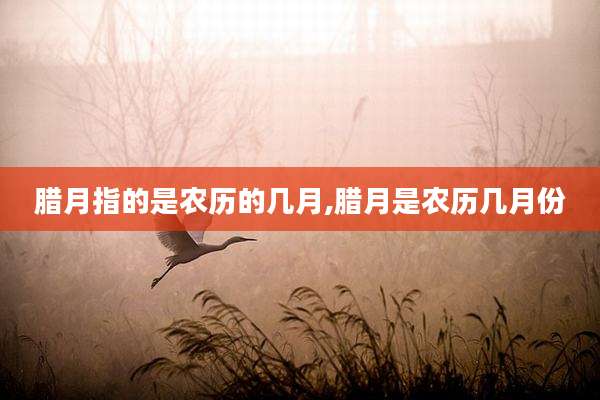 腊月指的是农历的几月,腊月是农历几月份