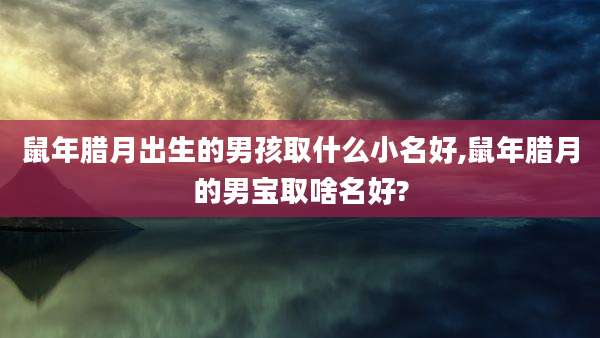 鼠年腊月出生的男孩取什么小名好,鼠年腊月的男宝取啥名好?