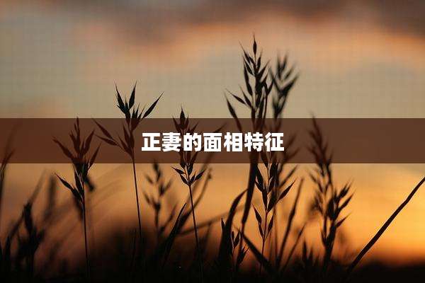 正妻的面相特征