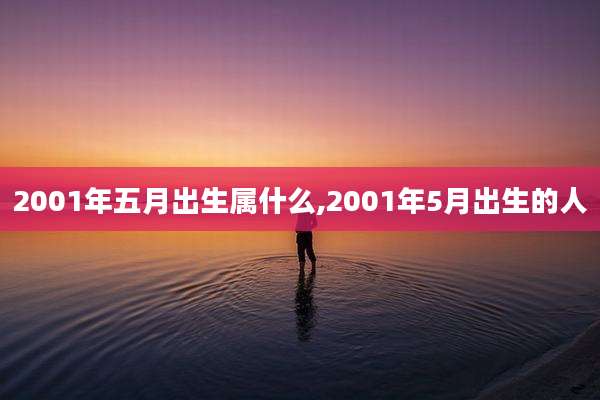 2001年五月出生属什么,2001年5月出生的人