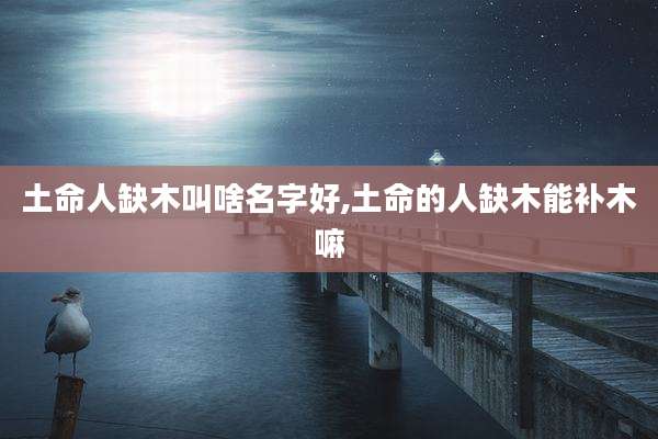 土命人缺木叫啥名字好,土命的人缺木能补木嘛