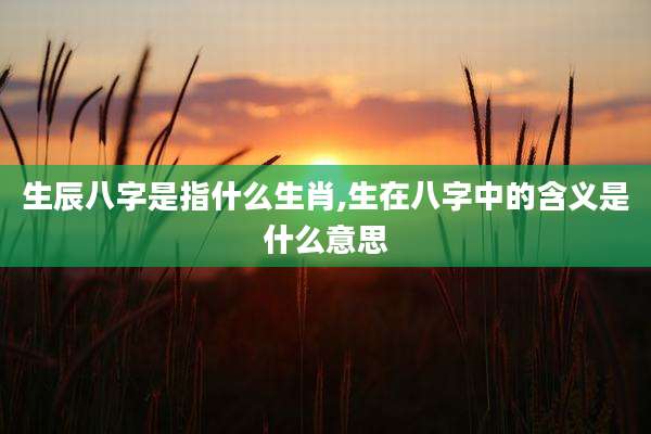 生辰八字是指什么生肖,生在八字中的含义是什么意思
