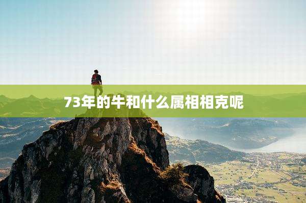 73年的牛和什么属相相克呢