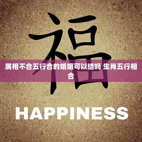 属相不合五行合的婚姻可以结吗 生肖五行相合