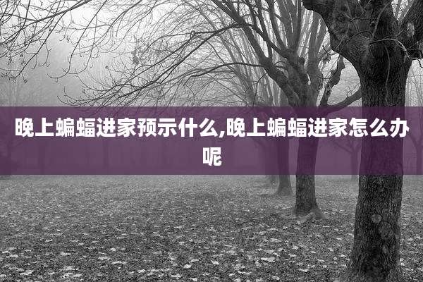 晚上蝙蝠进家预示什么,晚上蝙蝠进家怎么办呢