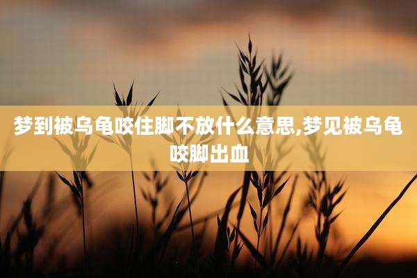 梦到被乌龟咬住脚不放什么意思,梦见被乌龟咬脚出血