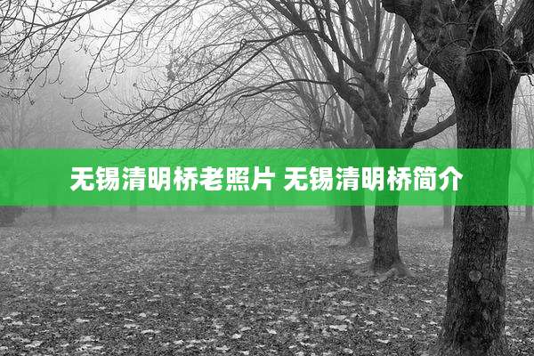 无锡清明桥老照片 无锡清明桥简介