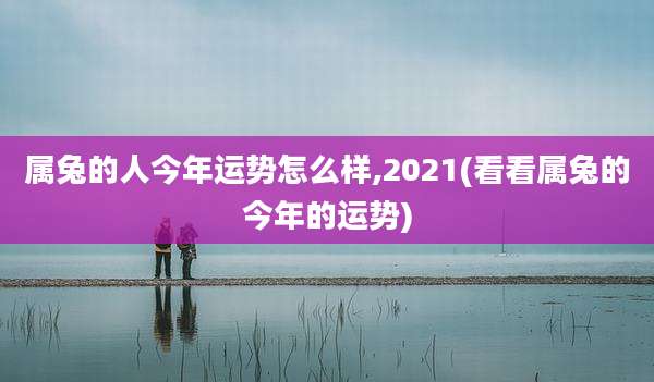 属兔的人今年运势怎么样,2021(看看属兔的今年的运势)