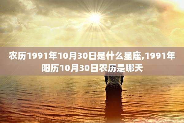 农历1991年10月30日是什么星座,1991年阳历10月30日农历是哪天