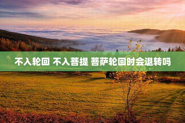 不入轮回 不入菩提 菩萨轮回时会退转吗
