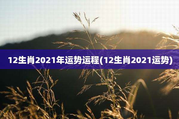 12生肖2021年运势运程(12生肖2021运势)