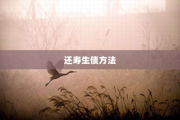 还寿生债方法