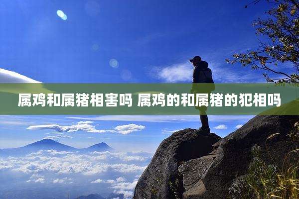 属鸡和属猪相害吗 属鸡的和属猪的犯相吗