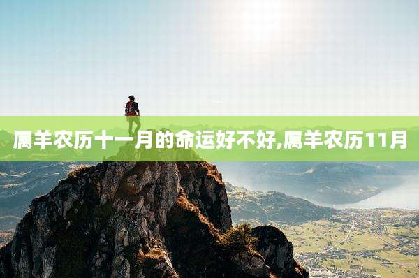 属羊农历十一月的命运好不好,属羊农历11月