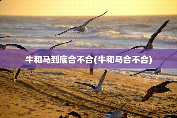 牛和马到底合不合(牛和马合不合)