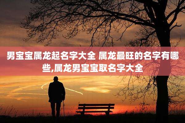 男宝宝属龙起名字大全 属龙最旺的名字有哪些,属龙男宝宝取名字大全