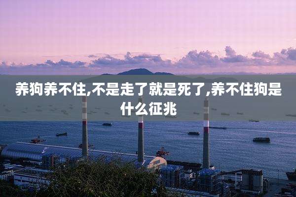 养狗养不住,不是走了就是死了,养不住狗是什么征兆
