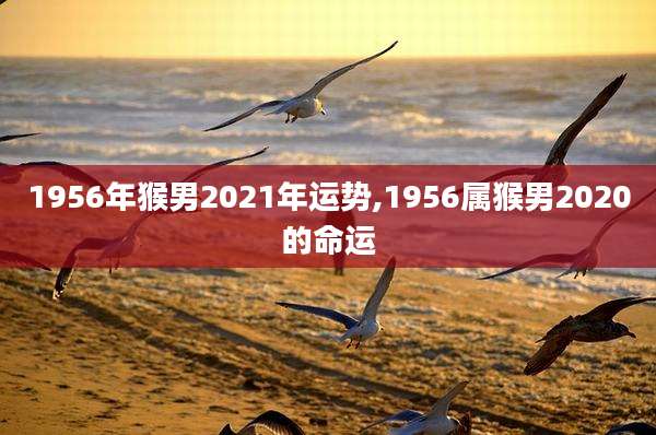 1956年猴男2021年运势,1956属猴男2020的命运