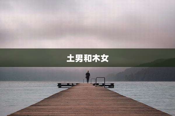 土男和木女