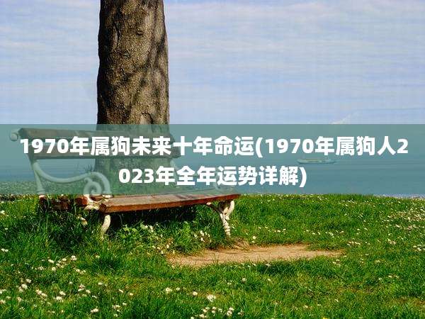 1970年属狗未来十年命运(1970年属狗人2023年全年运势详解)