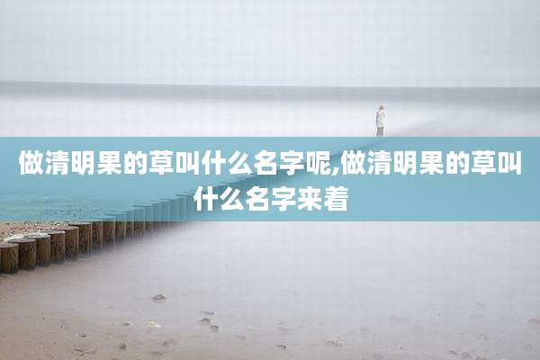 做清明果的草叫什么名字呢,做清明果的草叫什么名字来着