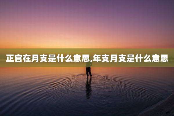 正官在月支是什么意思,年支月支是什么意思