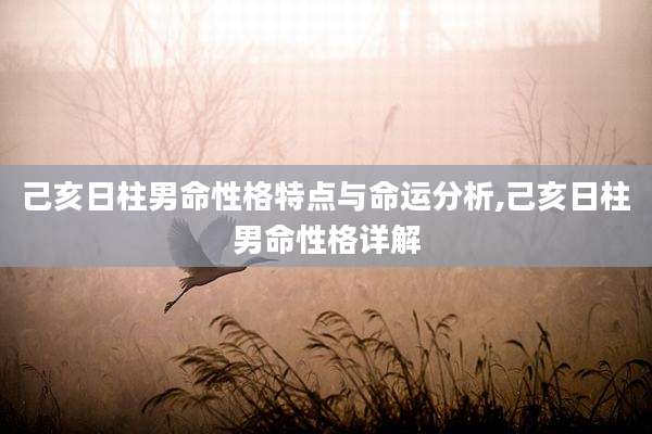 己亥日柱男命性格特点与命运分析,己亥日柱男命性格详解