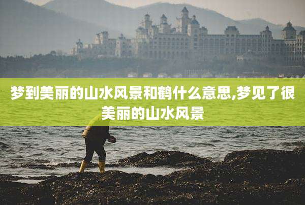 梦到美丽的山水风景和鹤什么意思,梦见了很美丽的山水风景