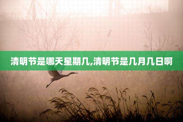 清明节是哪天星期几,清明节是几月几日啊