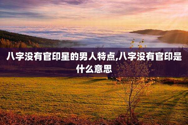 八字没有官印星的男人特点,八字没有官印是什么意思