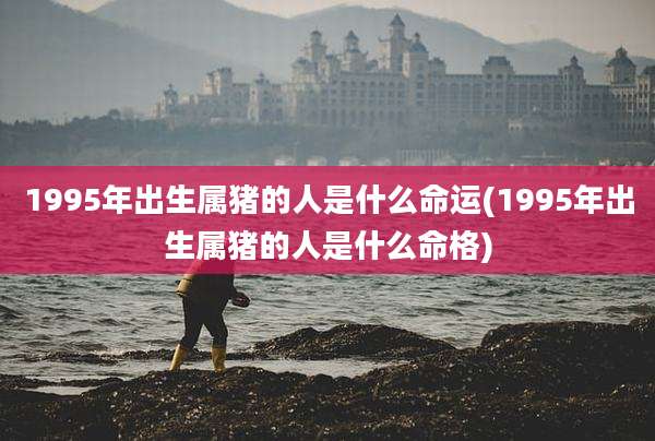 1995年出生属猪的人是什么命运(1995年出生属猪的人是什么命格)