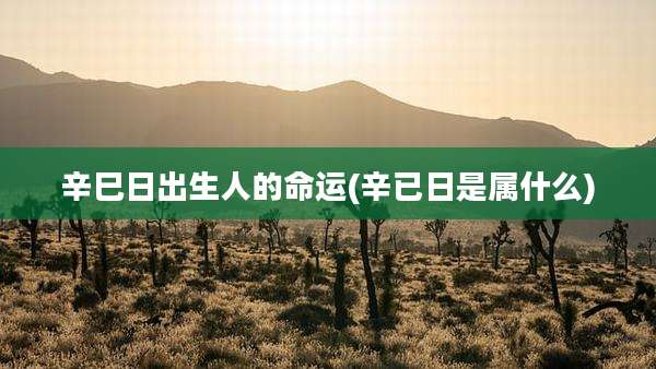 辛巳日出生人的命运(辛已日是属什么)