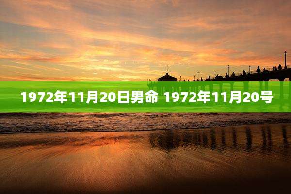 1972年11月20日男命 1972年11月20号