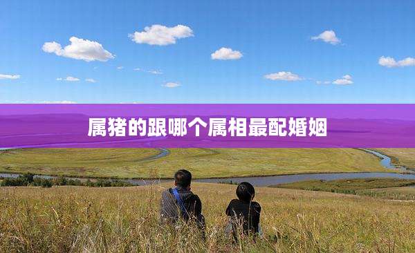 属猪的跟哪个属相最配婚姻