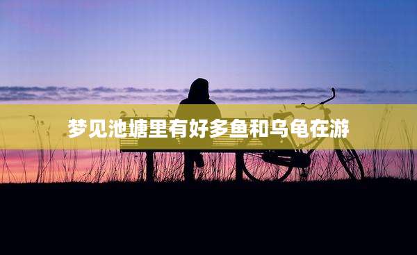 梦见池塘里有好多鱼和乌龟在游