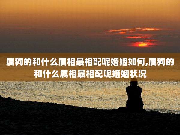 属狗的和什么属相最相配呢婚姻如何,属狗的和什么属相最相配呢婚姻状况