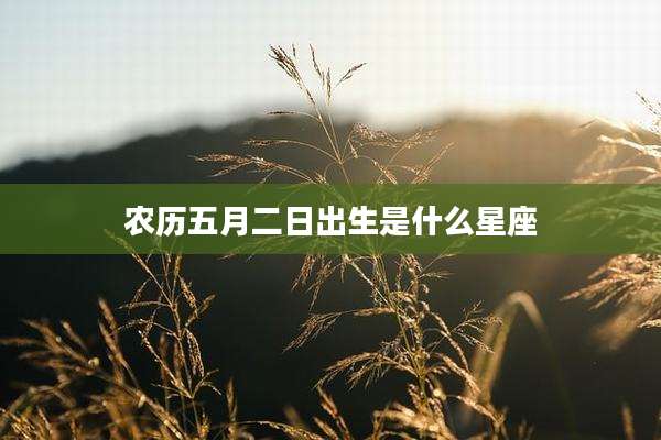 农历五月二日出生是什么星座