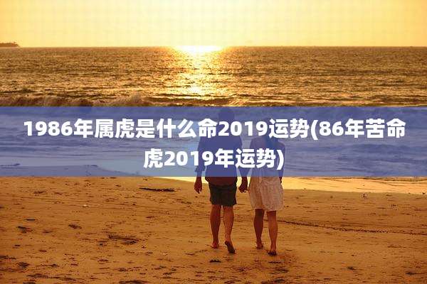 1986年属虎是什么命2019运势(86年苦命虎2019年运势)