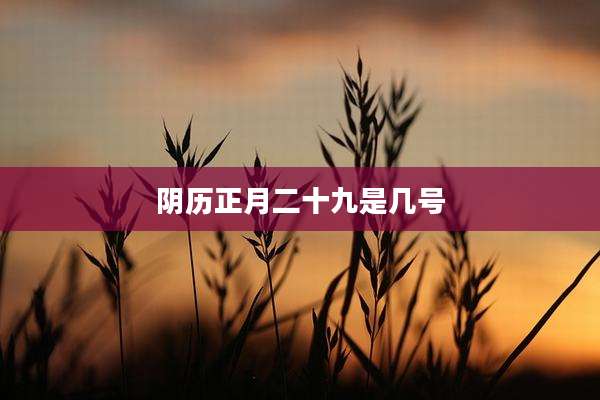 阴历正月二十九是几号
