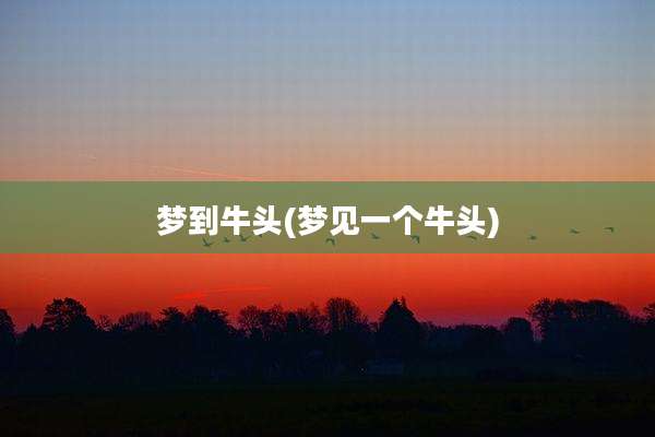 梦到牛头(梦见一个牛头)