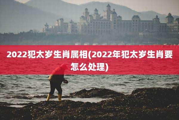 2022犯太岁生肖属相(2022年犯太岁生肖要怎么处理)