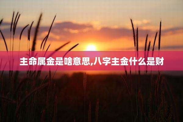 主命属金是啥意思,八字主金什么是财