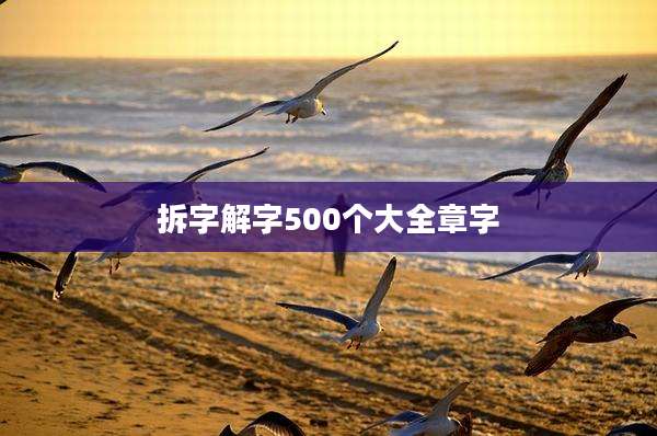 拆字解字500个大全章字