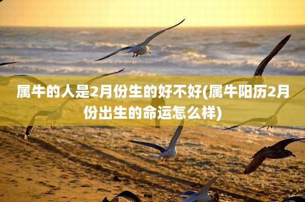 属牛的人是2月份生的好不好(属牛阳历2月份出生的命运怎么样)