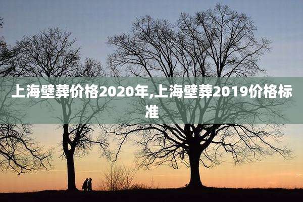 上海壁葬价格2020年,上海壁葬2019价格标准