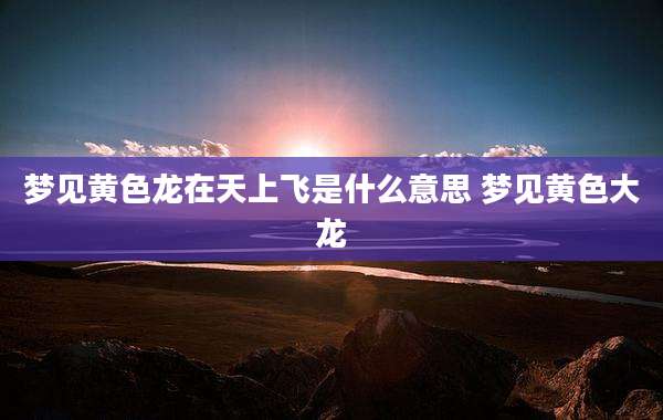 梦见黄色龙在天上飞是什么意思 梦见黄色大龙