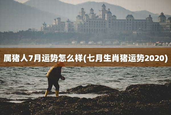 属猪人7月运势怎么样(七月生肖猪运势2020)