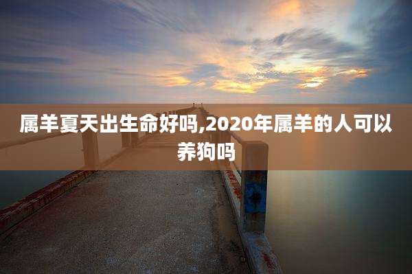 属羊夏天出生命好吗,2020年属羊的人可以养狗吗