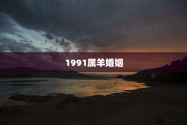 1991属羊婚姻