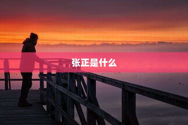 张正是什么